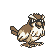 Pidgey