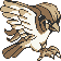 Pidgeot
