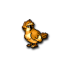 Pidgey