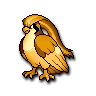 Pidgeot