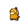 Psyduck