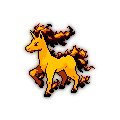 Rapidash