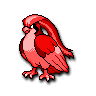 Pidgeot