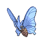 Venomoth