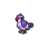 Pidgey